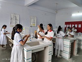 veena school karauli