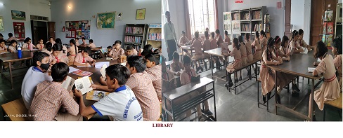 Veena School Karauli