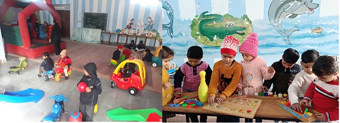 veena school karauli