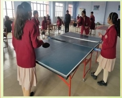 Veena School Karauli